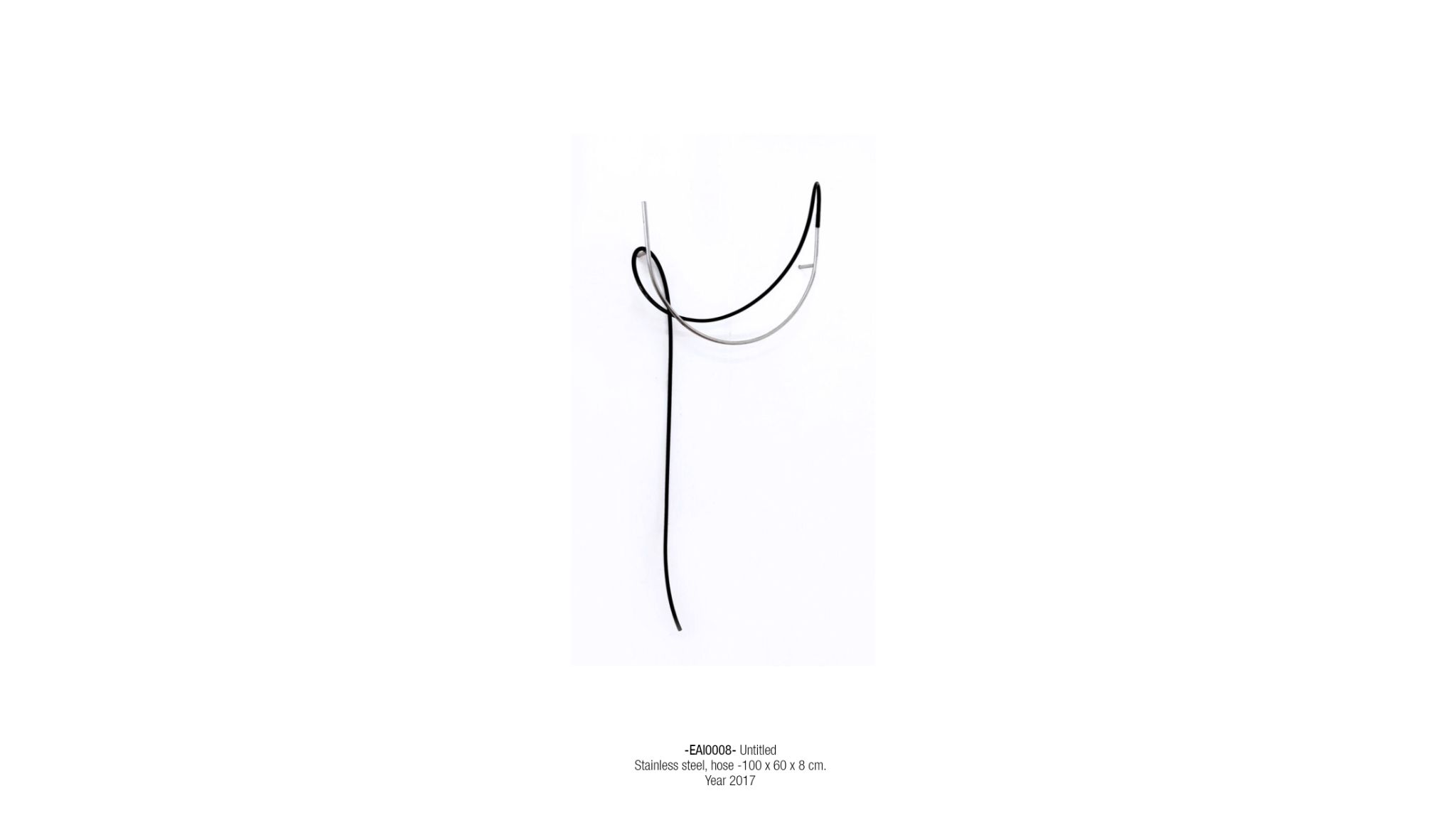 2025 DM port.para web. P64